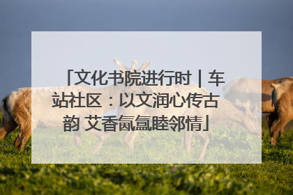 文化书院进行时｜车站社区：以文润心传古韵 艾香氤氲睦邻情