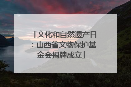 文化和自然遗产日：山西省文物保护基金会揭牌成立