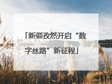 新疆孜然开启“数字丝路”新征程