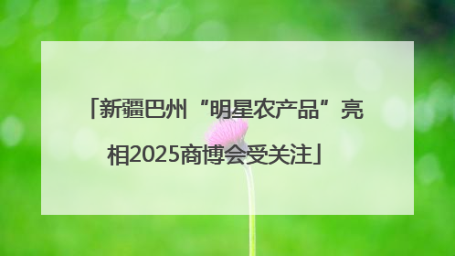 新疆巴州“明星农产品”亮相2025商博会受关注