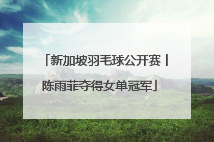 新加坡羽毛球公开赛丨陈雨菲夺得女单冠军