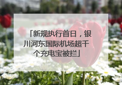 新规执行首日，银川河东国际机场超千个充电宝被拦
