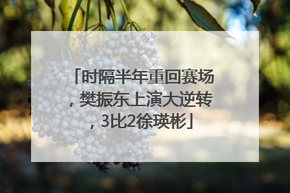 时隔半年重回赛场，樊振东上演大逆转，3比2徐瑛彬