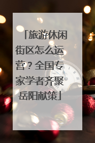旅游休闲街区怎么运营？全国专家学者齐聚岳阳献策