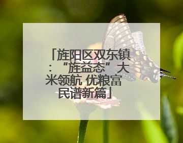 旌阳区双东镇：“旌益态”大米领航 优粮富民谱新篇