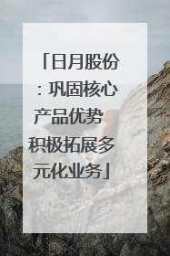 日月股份：巩固核心产品优势 积极拓展多元化业务