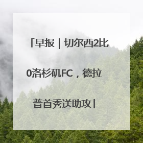 早报｜切尔西2比0洛杉矶FC，德拉普首秀送助攻