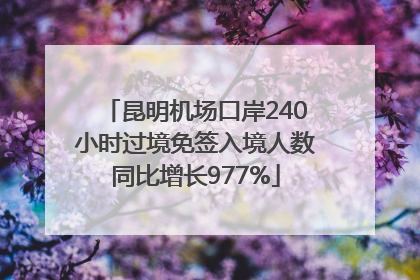 昆明机场口岸240小时过境免签入境人数同比增长977%