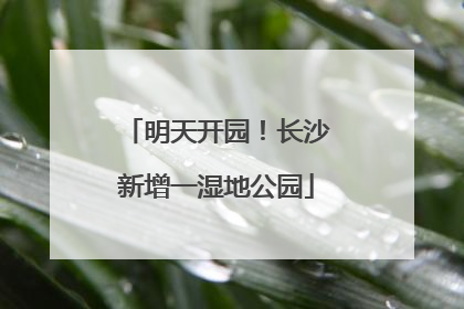 明天开园！长沙新增一湿地公园