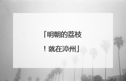 明朝的荔枝！就在漳州