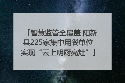 智慧监管全覆盖 阳新县225家集中用餐单位实现“云上明厨亮灶”