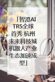 智澄AITR5全球首秀 杭州未来科技城机器人产业生态加速成型