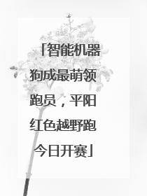 智能机器狗成最萌领跑员，平阳红色越野跑今日开赛