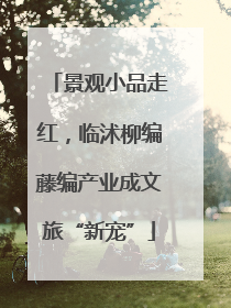 景观小品走红，临沭柳编藤编产业成文旅“新宠”