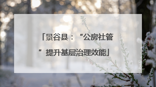 景谷县：“公房社管”提升基层治理效能