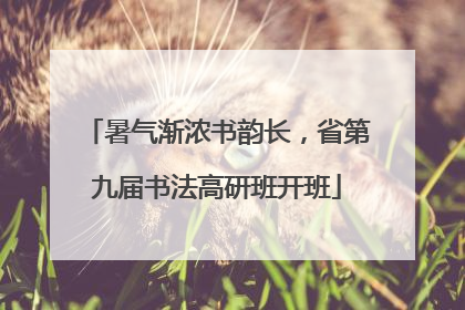 暑气渐浓书韵长，省第九届书法高研班开班