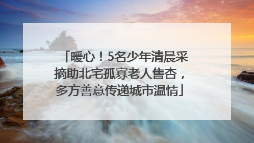 暖心！5名少年清晨采摘助北宅孤寡老人售杏，多方善意传递城市温情