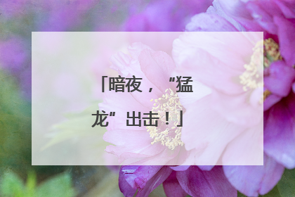 暗夜，“猛龙”出击！