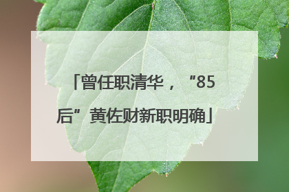 曾任职清华，“85后”黄佐财新职明确
