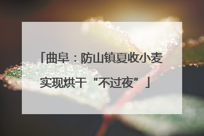 曲阜：防山镇夏收小麦实现烘干“不过夜”