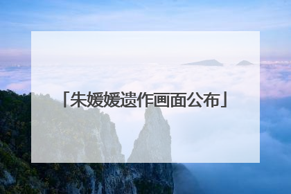朱媛媛遗作画面公布