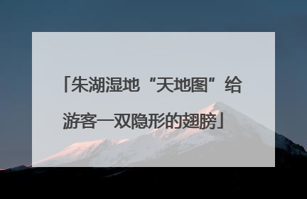 朱湖湿地“天地图”给游客一双隐形的翅膀