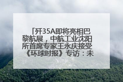 歼35A即将亮相巴黎航展，中航工业沈阳所首席专家王永庆接受《环球时报》专访：未来数量可以有很多