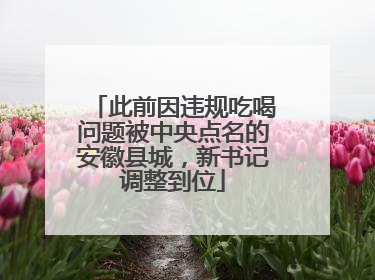 此前因违规吃喝问题被中央点名的安徽县城，新书记调整到位