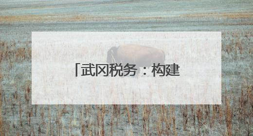 武冈税务：构建“以税护遗、以旅兴遗”长效机制