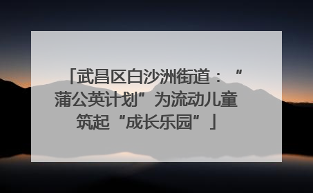 武昌区白沙洲街道：“蒲公英计划”为流动儿童筑起“成长乐园”