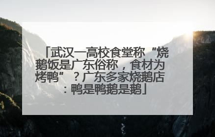 武汉一高校食堂称“烧鹅饭是广东俗称，食材为烤鸭”？广东多家烧鹅店：鸭是鸭鹅是鹅
