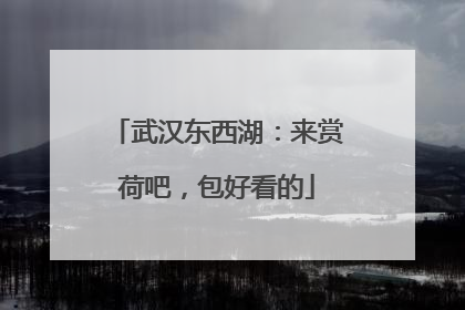 武汉东西湖：来赏荷吧，包好看的
