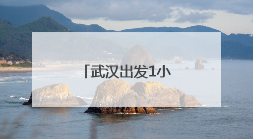 武汉出发1小时到合肥、3小时到上海，这条高铁有新进展