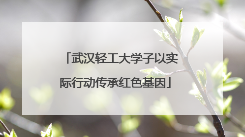 武汉轻工大学子以实际行动传承红色基因