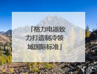 格力电器致力打造制冷领域国际标准