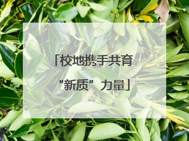 校地携手共育“新质”力量
