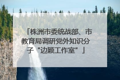 株洲市委统战部、市教育局调研党外知识分子“边颖工作室”