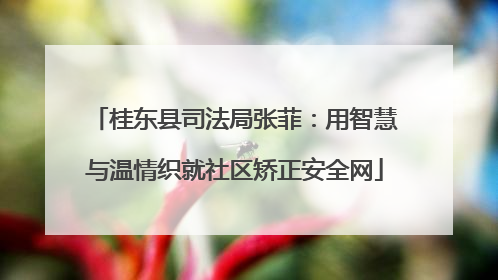 桂东县司法局张菲：用智慧与温情织就社区矫正安全网