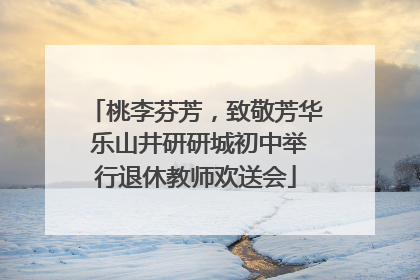 桃李芬芳，致敬芳华 乐山井研研城初中举行退休教师欢送会