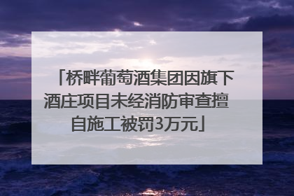 桥畔葡萄酒集团因旗下酒庄项目未经消防审查擅自施工被罚3万元