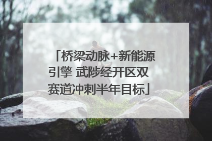 桥梁动脉+新能源引擎 武陟经开区双赛道冲刺半年目标