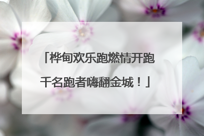 桦甸欢乐跑燃情开跑 千名跑者嗨翻金城！