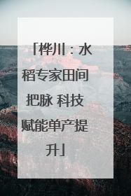 桦川：水稻专家田间把脉 科技赋能单产提升