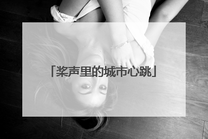 桨声里的城市心跳