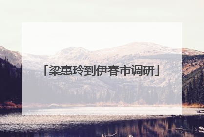 梁惠玲到伊春市调研