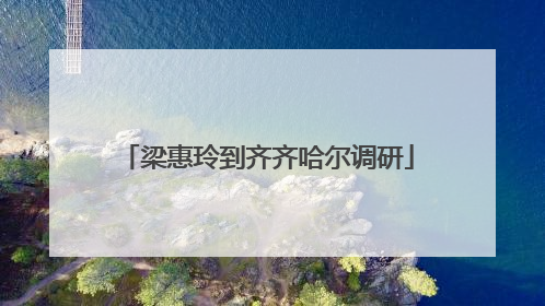 梁惠玲到齐齐哈尔调研