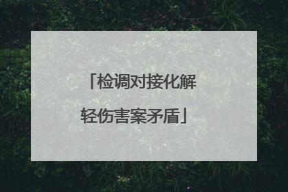 检调对接化解轻伤害案矛盾
