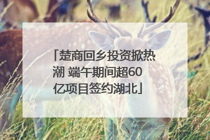 楚商回乡投资掀热潮 端午期间超60亿项目签约湖北