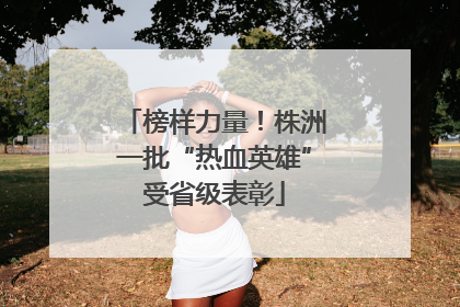 榜样力量！株洲一批“热血英雄”受省级表彰