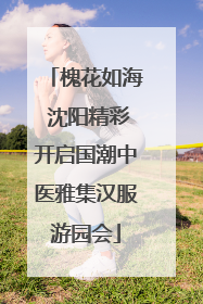 槐花如海 沈阳精彩开启国潮中医雅集汉服游园会